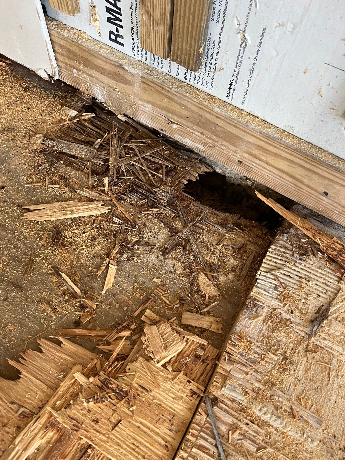During: rot in the floor structure after demolition. The house tells you what it will take.