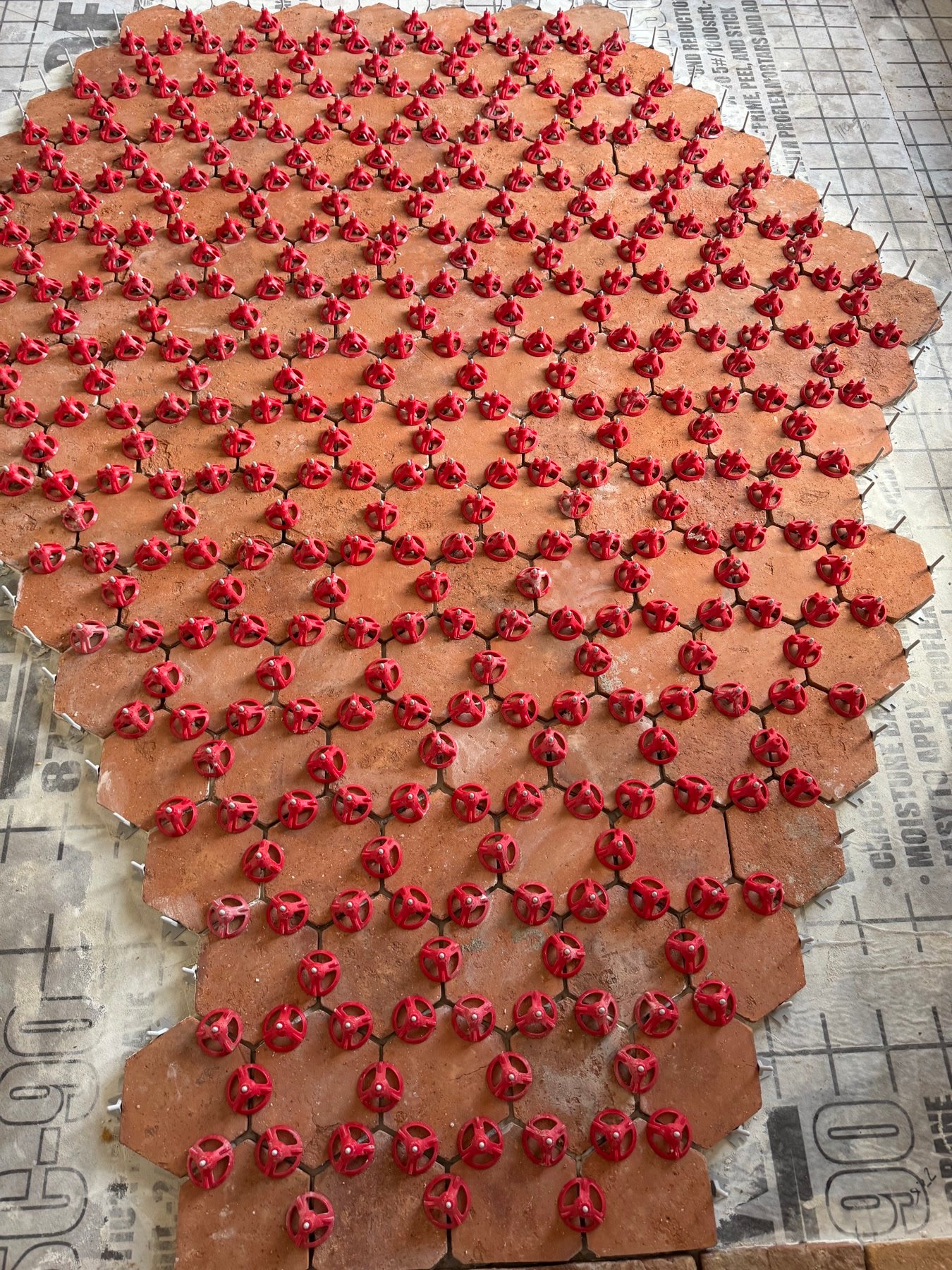 During: terracotta hex set on a crack-isolation membrane, clips still on